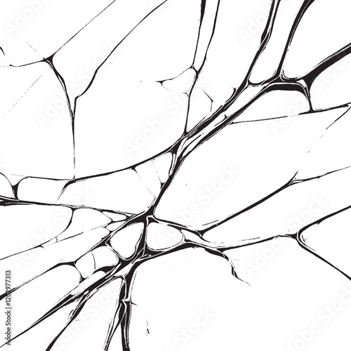 cracked ground with cracks in the ground, abstract, damage, earthquake, earth, ground, isolated, line, destroy, texture, background.