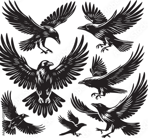 Crow vector illustration in black and white