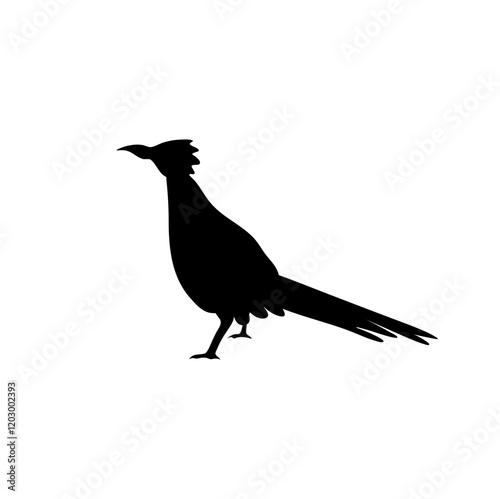 Roadrunner bird silhouette  photo