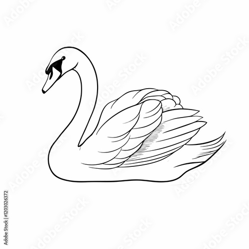 A swan is swimming in the water. The swan is white and has a black beak