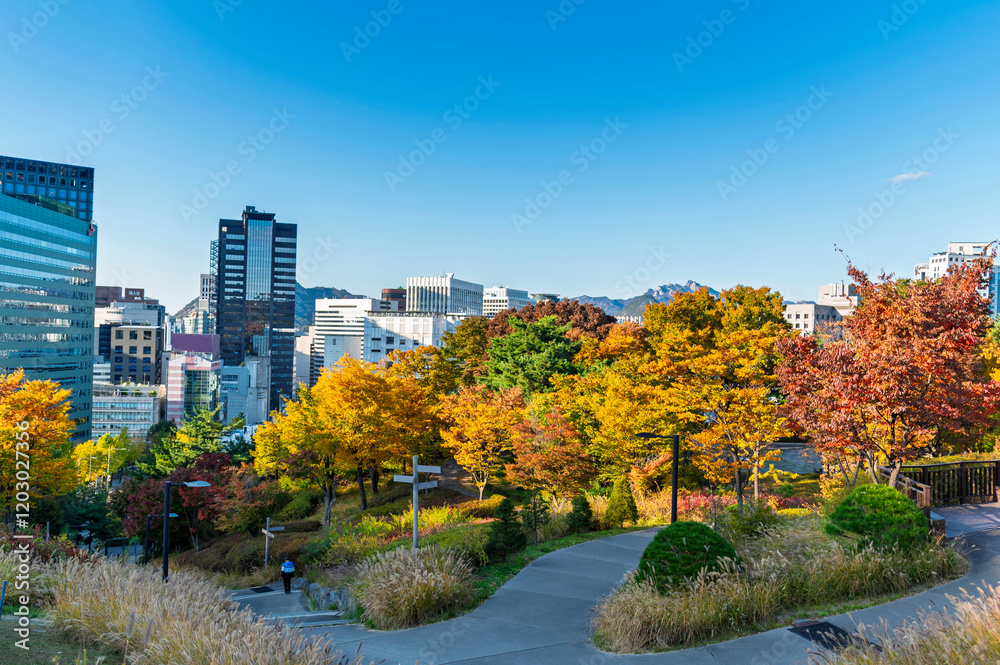 autumn maple forest with Fortress wall of Seoul city leading up to Namsan Baekbeom Plaza with autumn colorful park, Seoul, South Korea in autumn season