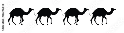 Camel Silhouette Against the Desert Sunset Sky