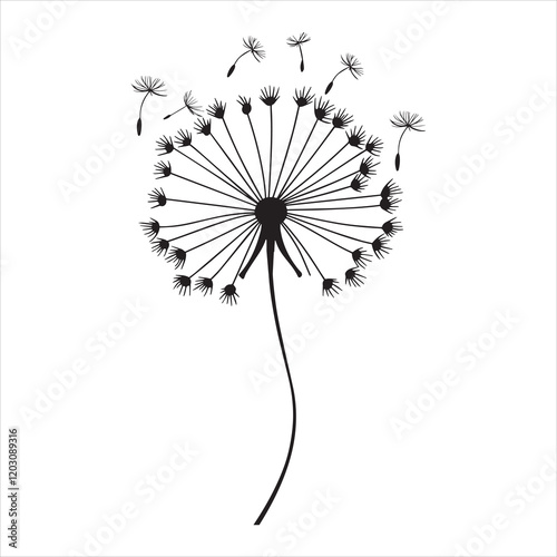 Delicate Dandelion Plant Vector Illustration for Illustrations
