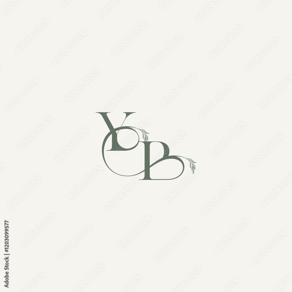 wedding concept monogram elegant and elegant logo BY organic hairline logotype letter wedding concept monogram elegant and elegant logo BY organic hairline logotype letter