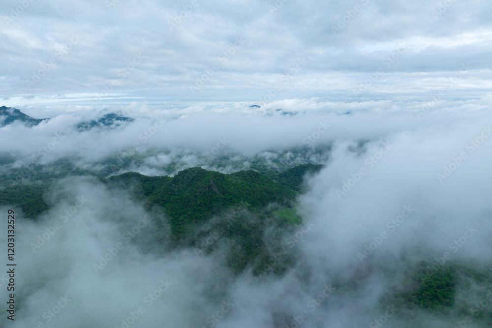 Obraz premium Beautiful mist over green forest on the mountain.
