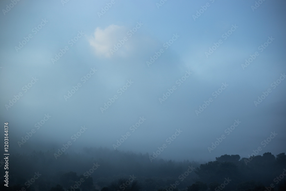 Fototapeta premium Foggy sky and forest minimalist lanscape