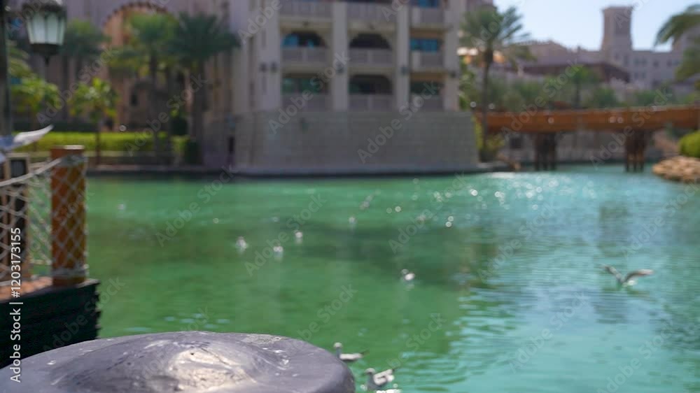 Birds In The Water Stream In Madinat Jumeirah, Dubai Birds In The Water Stream In Madinat Jumeirah, Dubai