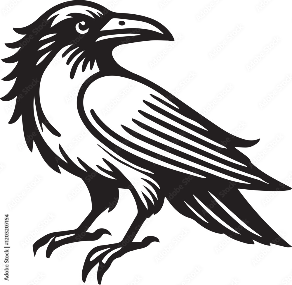 Obraz premium Crow vector in black and white