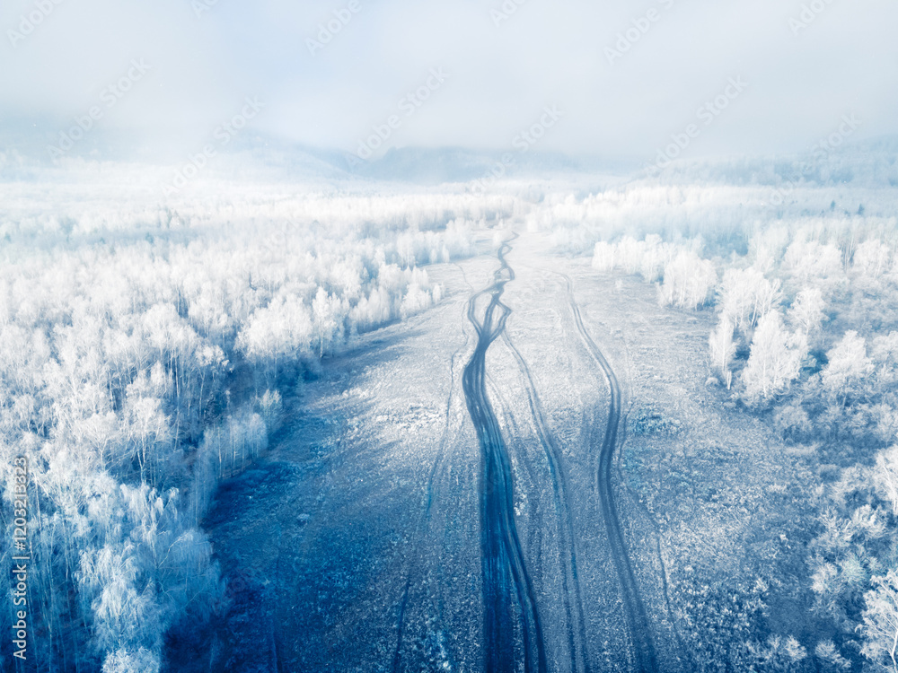 White frost-covered trees in winter forest at foggy sunrise. Clouds over the mountains and forest.