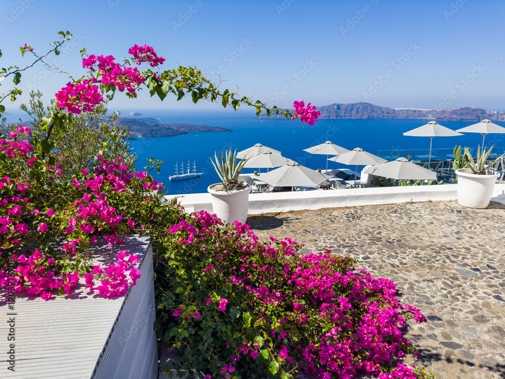 White architecture in Santorini island, Greece. Blooming pink flowers on the terrace.