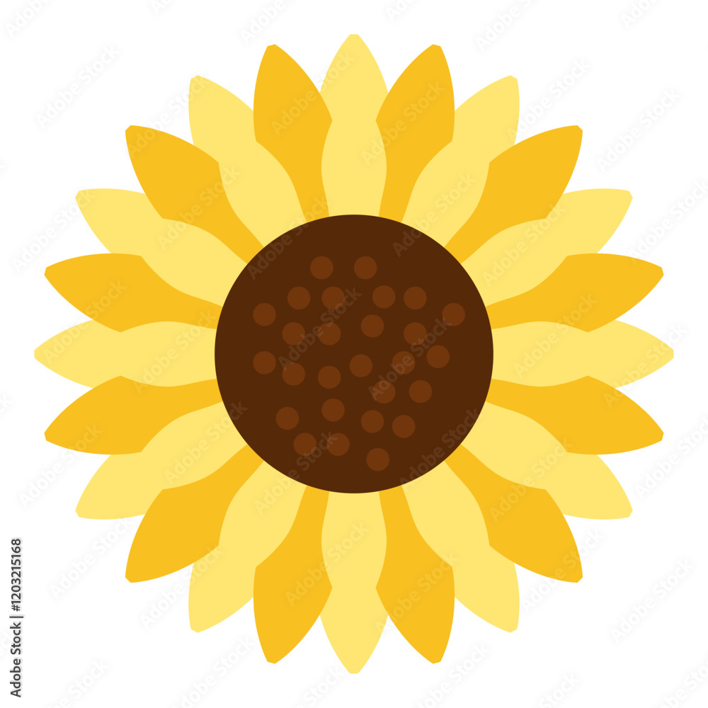 Sunflower Flower Illustration Sunflower Flower Illustration
