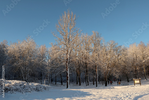 Obraz na płótnie Winter