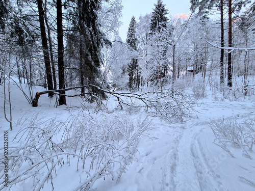 Obraz na płótnie winter