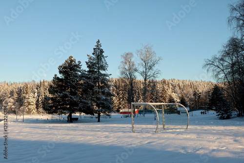 Fototapeta kuchenna Winter