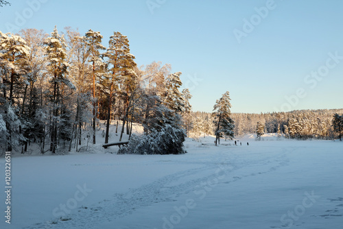 Obraz na płótnie winter