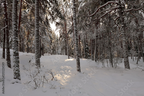 Obraz na płótnie winter