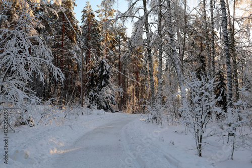Obraz na płótnie winter