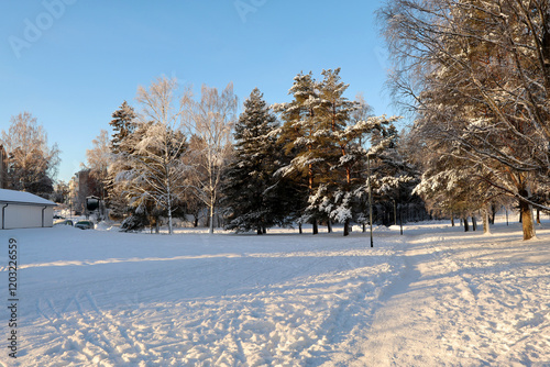 Obraz na płótnie winter