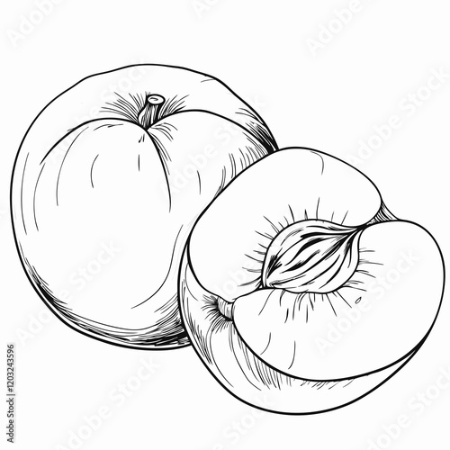Whole and sliced peach, black and white sketch