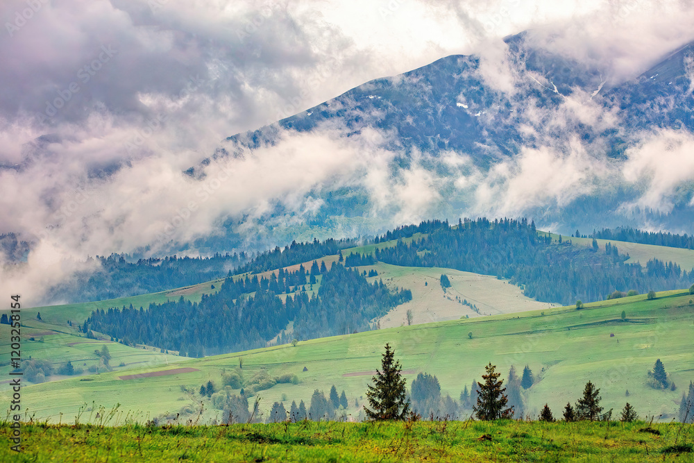 Nature awakens in misty mountains under a cloudy sky during early morning hours