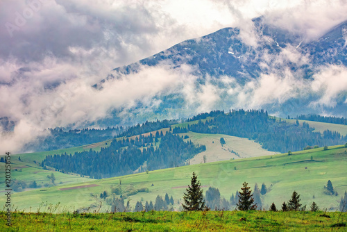 Obraz na płótnie Nature awakens in misty mountains under a cloudy sky during early morning hours w salonie