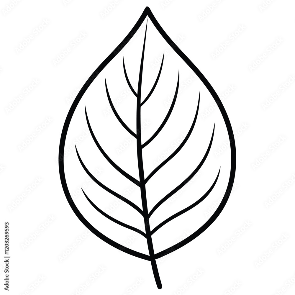 Charm Leaf Vector art Illustration Design for natural content