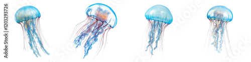 Ethereal and Serene Underwater Jellyfish Creatures Swimming in the Tranquil Depths of the Ocean photo