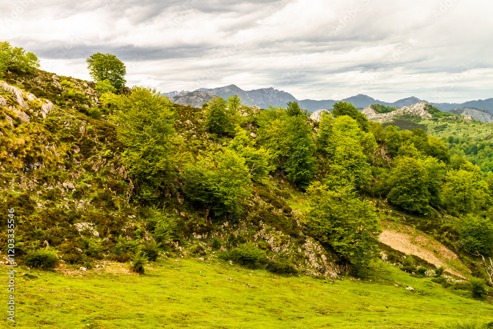 Obraz premium Route to Covadonga, Lakes, Mountains, Cangas de Onis, Asturias, Picos de Europa, Spain