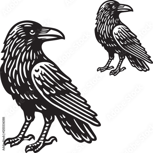 Crow vector