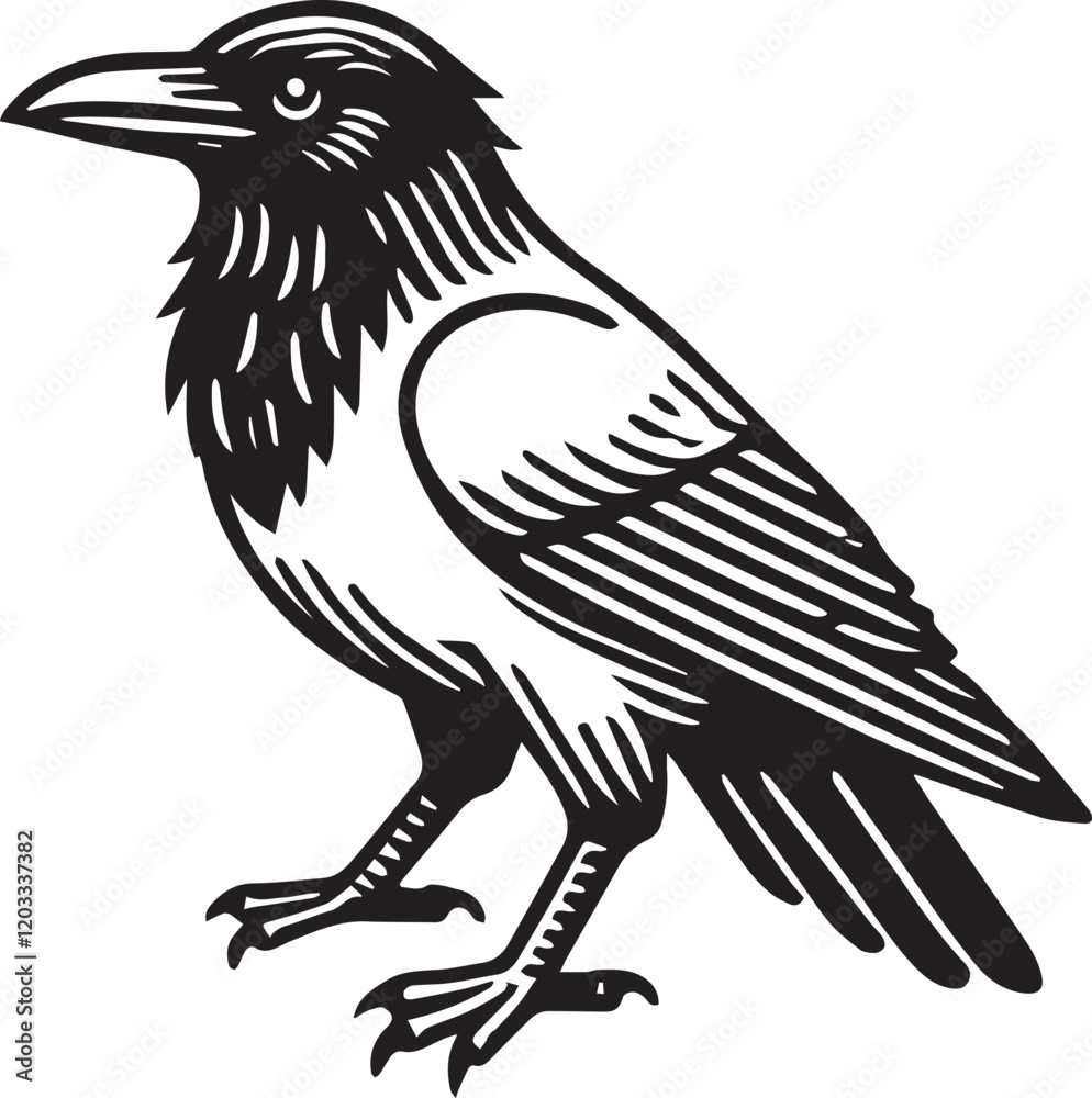 Obraz premium Crow vector in black and white