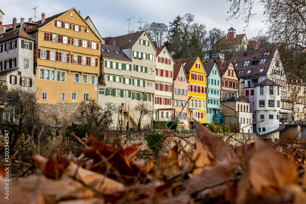 Obraz premium Picturesque historic houses of the old town of Tübingen at the riverbank in winter