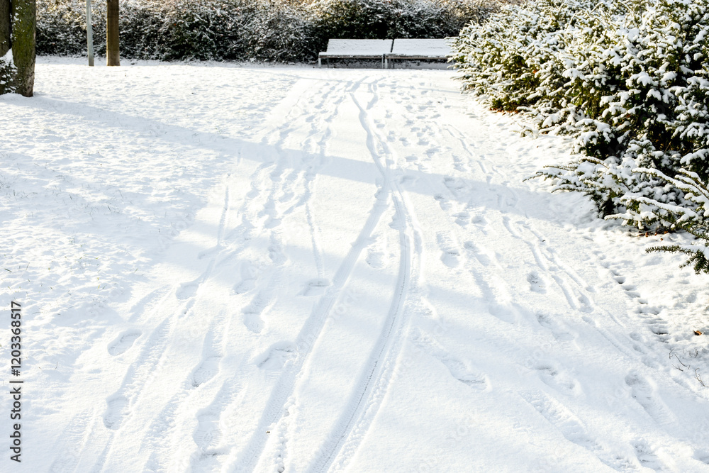 Snowy path in the park with footprints and ruts from bicycles or sleds. On the sides of the path there are bushes covered with snow, and in the distance a bench is visible. Snowy path in the park with footprints and ruts from bicycles or sleds. On the sides of the path there are bushes covered with snow, and in the distance a bench is visible.