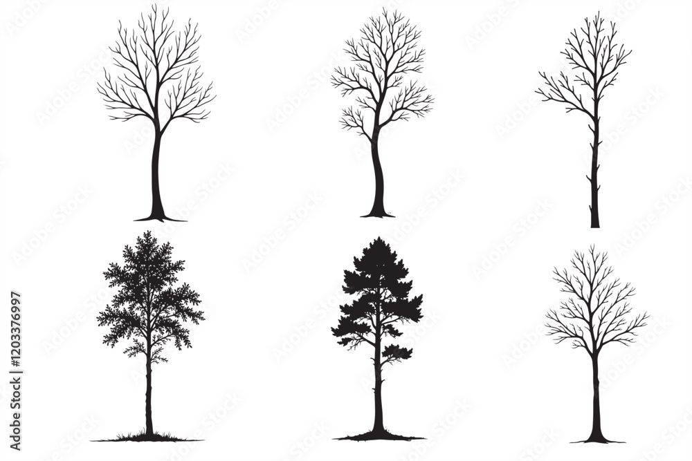 Obraz premium 36 Eucalyptus Tree Silhouette Bundle