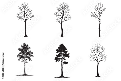 36 Eucalyptus Tree Silhouette Bundle