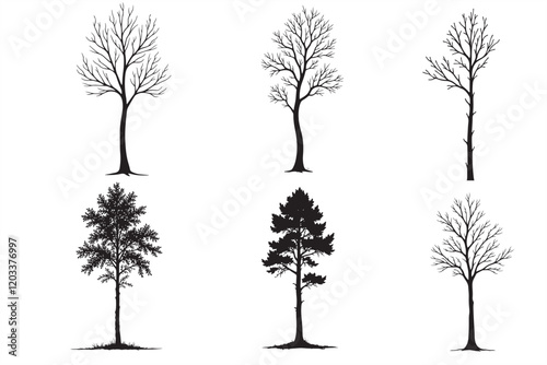 36 Eucalyptus Tree Silhouette Bundle