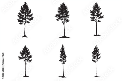36 Eucalyptus Tree Silhouette Bundle