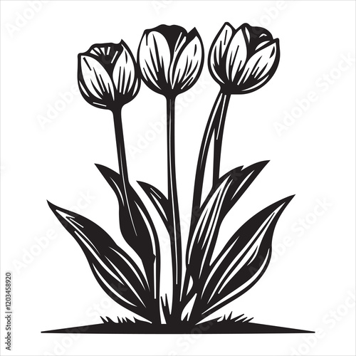 Fresh Tulipa Plant Clipart for Nature-Inspired Designs
