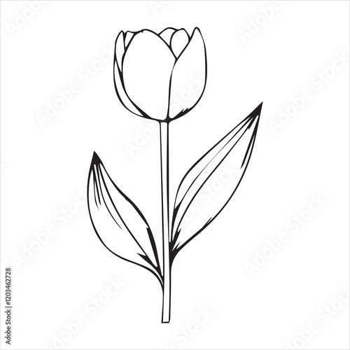 Charming Tulip Flower Vector Illustration for Digital Use
