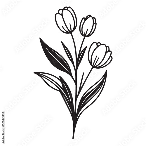 Elegant Tulip Flower Vector Illustration for Spring Designs

