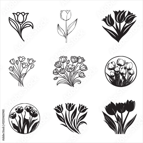 Collection of Beautiful Tulip Flower Vector illustration, Tulipa Plant Clipart Design