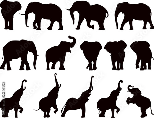 elephants collection, set black silhouette vector