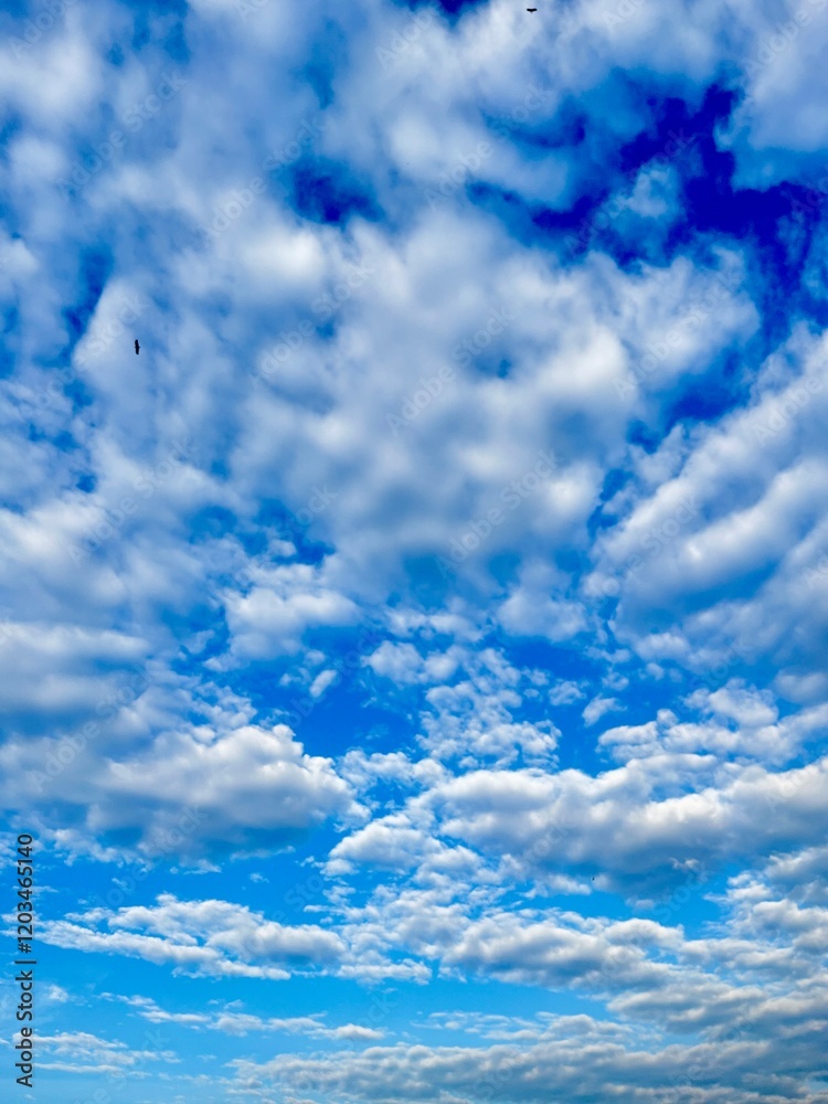 Obraz premium blue sky with clouds