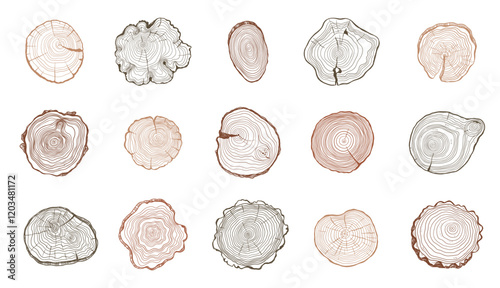Tree rings. Wooden log trunk slices with annual growth circles, rough timber stump sections with organic texture flat style. Vector isolated set