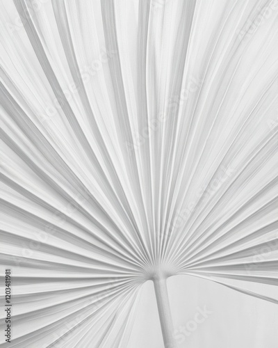 Obraz na płótnie Monochrome close-up of palm leaf texture, black and white editorial content for branding, social media, Instagram, websites, and content marketing w salonie