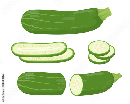 Zucchini vegetable icons. Whole and cut green zucchini and slices. Farm zucchini plant icon. Organic garden vegetarian food. Vector illustration isolated on white background.