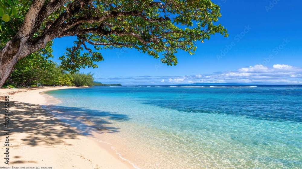 Fototapeta premium Serene Tropical Beach Scene