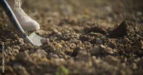 Wallpaper Mural Close Up Of Digging With Shovel In Hard Soil During Drought Torontodigital.ca