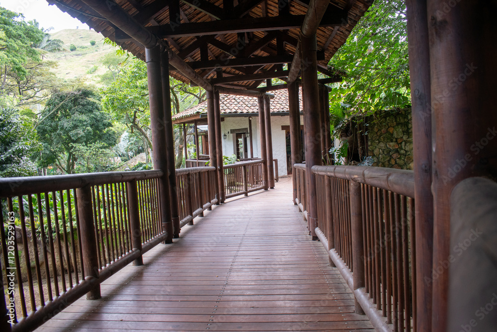 LOS PATIOS, CORRDORES, O PASILLOS, POR LO GENERAL EN EL CENTRO DE LAS CASAS COLONIALES, CONSTITUIAN TODO UN ESPECTÁCULO DE COLORES Y AROMAS. ALLÍ LA ABUELA, EXHIBÍA SUS GERANIOS, ROSALES Y NOVIOS LOS PATIOS, CORRDORES, O PASILLOS, POR LO GENERAL EN EL CENTRO DE LAS CASAS COLONIALES, CONSTITUIAN TODO UN ESPECTÁCULO DE COLORES Y AROMAS. ALLÍ LA ABUELA, EXHIBÍA SUS GERANIOS, ROSALES Y NOVIOS
