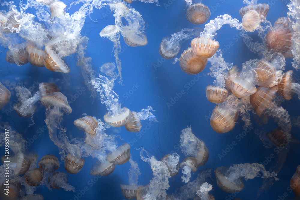 Naklejka premium Glowing jellyfish against deep blue water background