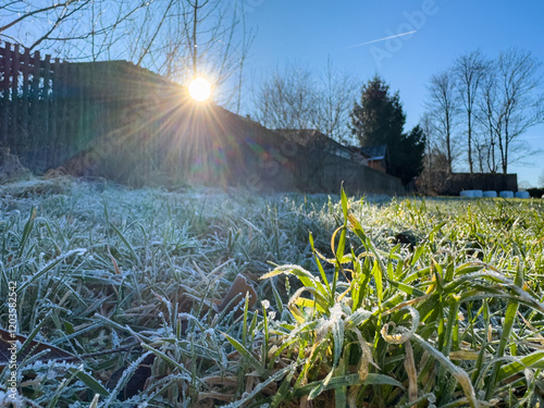 Obraz na płótnie Frozen meadow in winter in freezing cold with frost and sun in the morning wallpaper w salonie